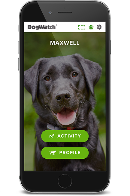 DogWatch of Green Country, Tulsa, Oklahoma | SmartFence WebApp Image