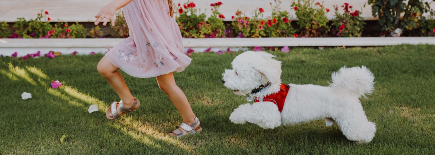 DogWatch of Green Country, Tulsa, Oklahoma | Outdoor Hidden Dog Fences Slider Image